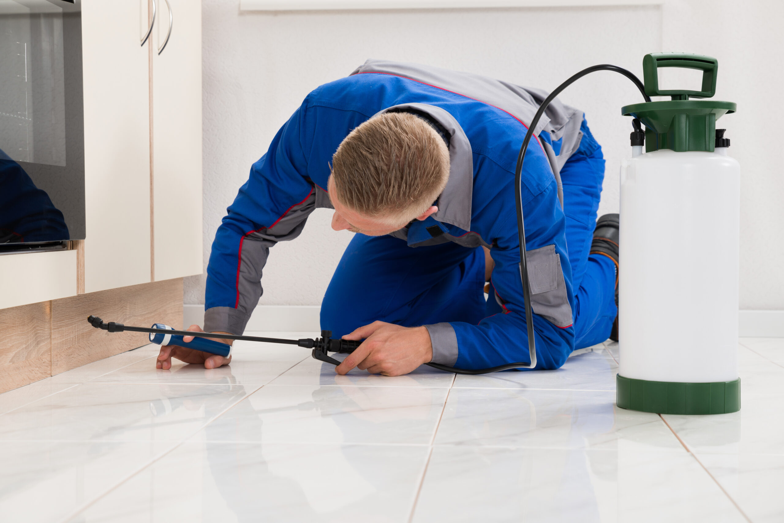 Lehigh Acres Pest Solutions